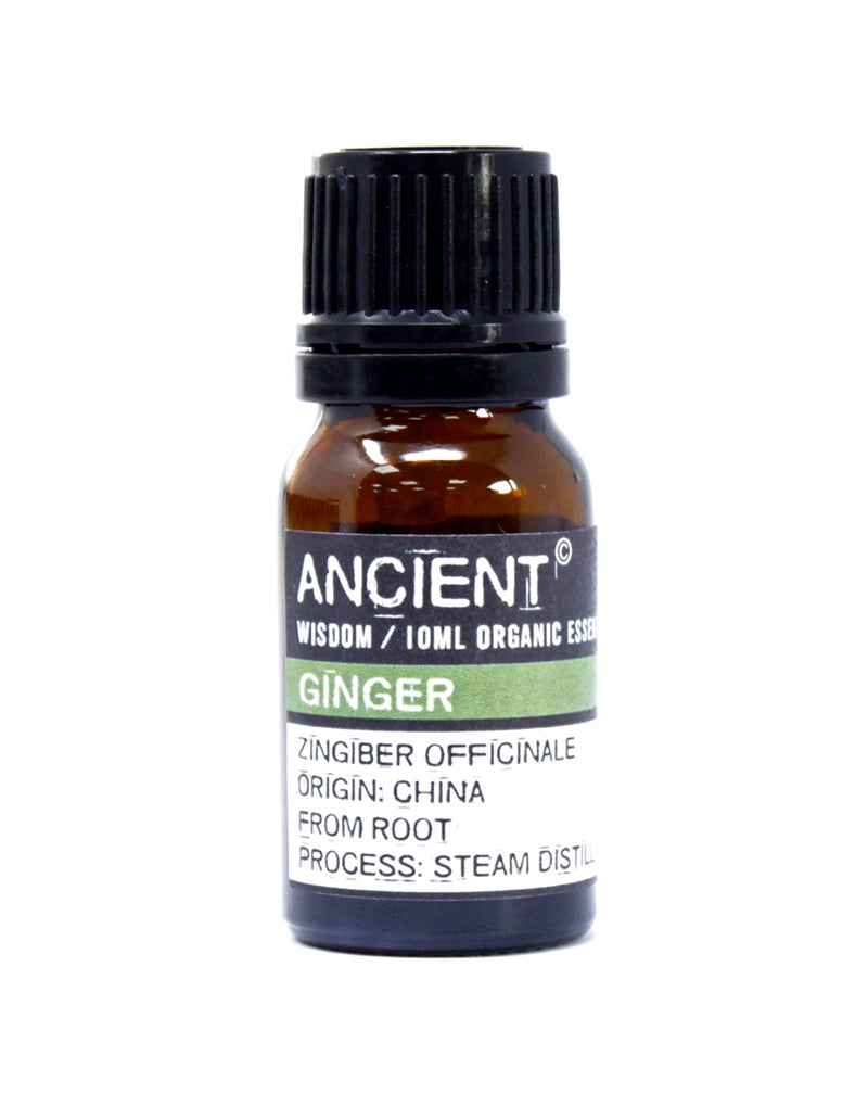 Ginger Organic Essential Oil